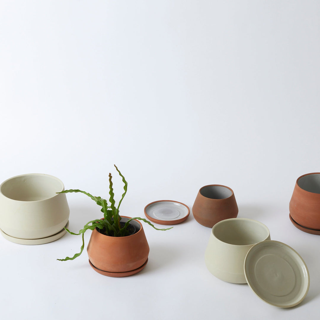The Rancho Planter