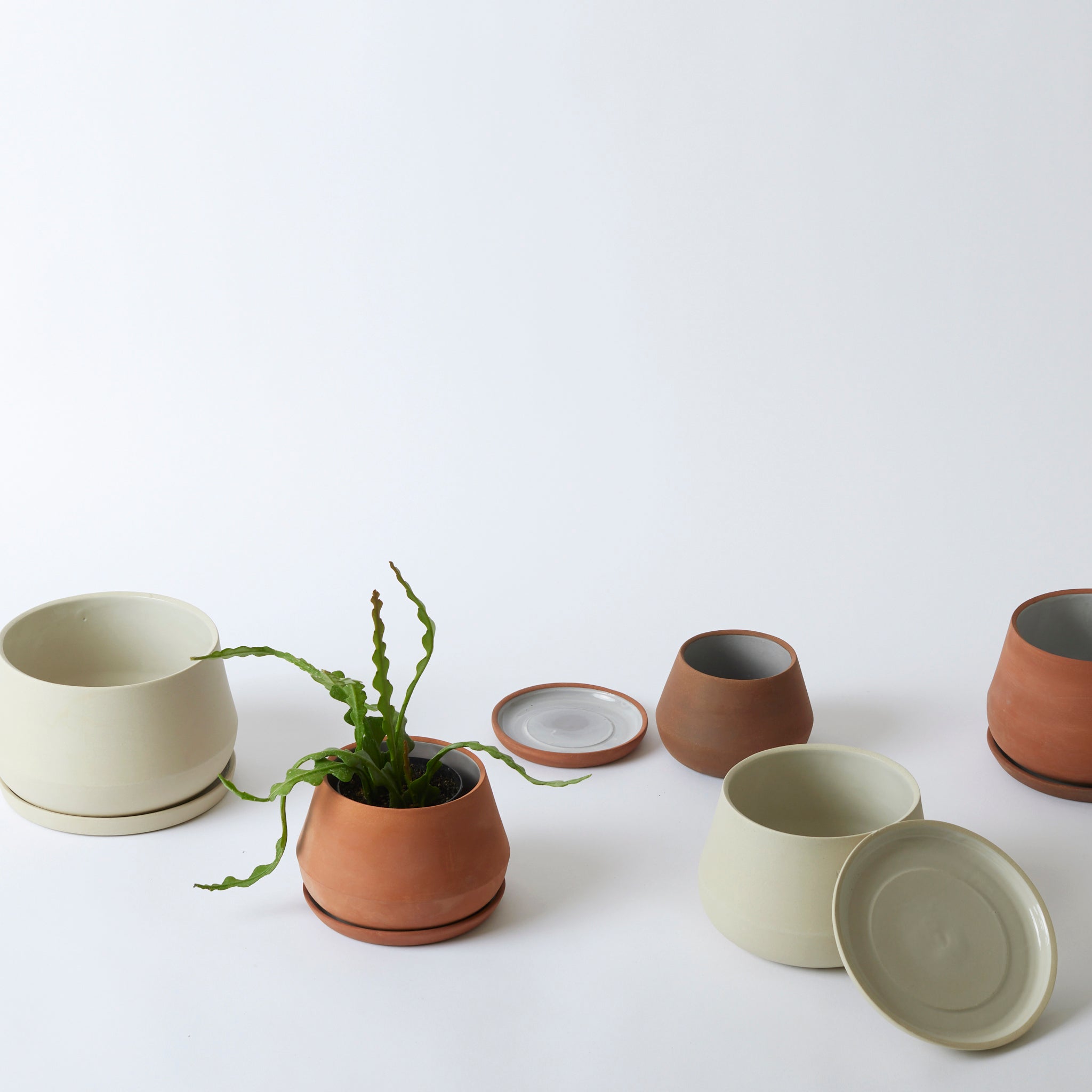 The Rancho Planter