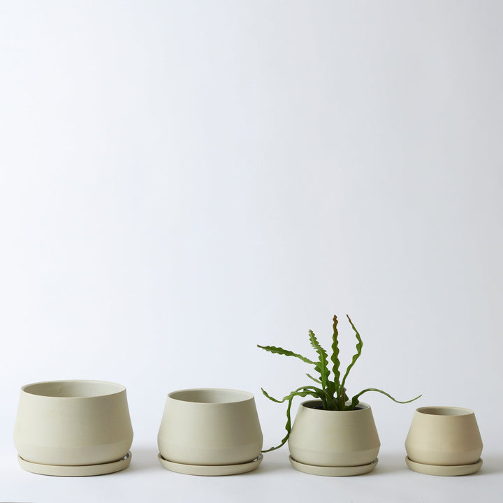 The Rancho Planter