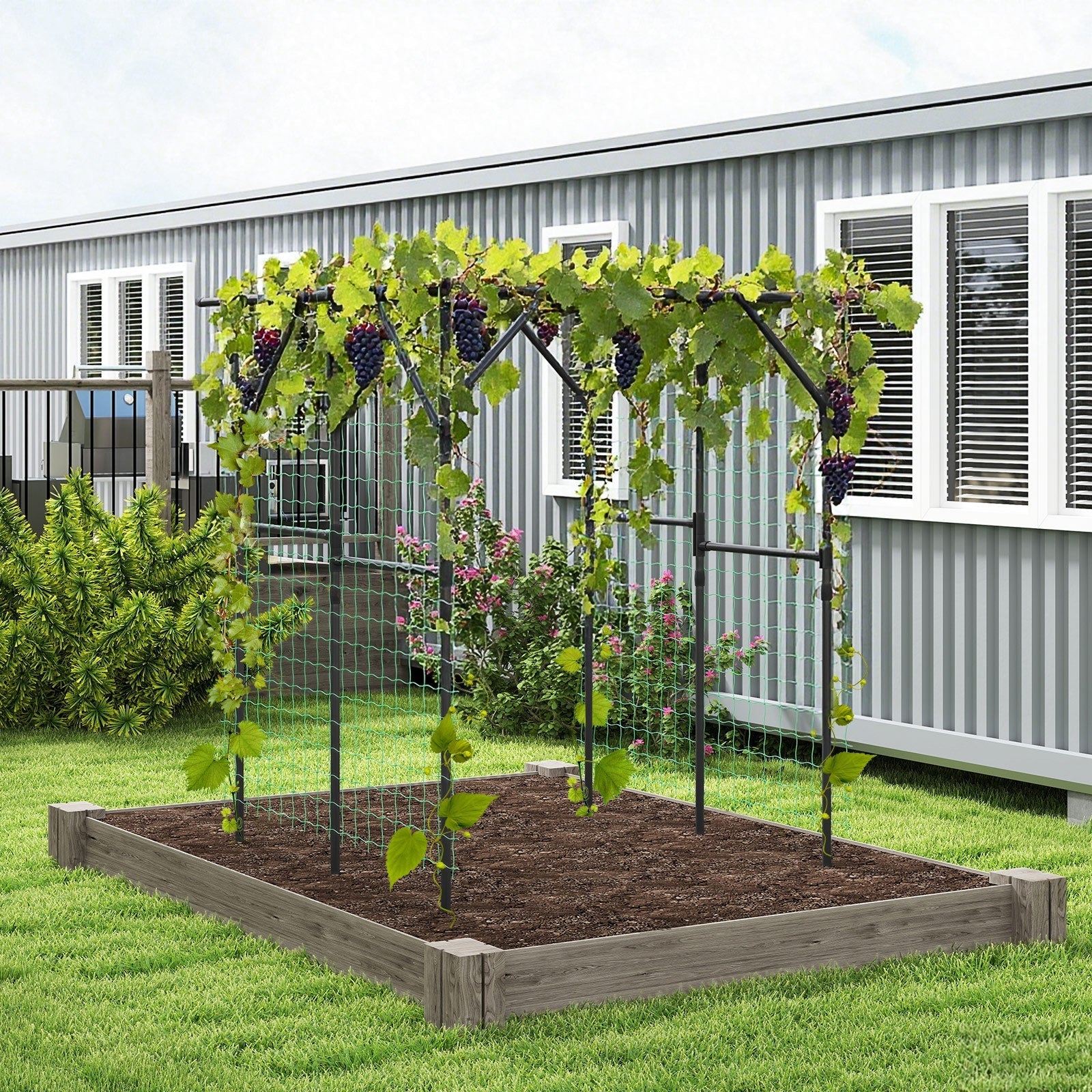 Large Garden Arch Trellis for Climbing Plants Outdoor Grape Vine Support-Black