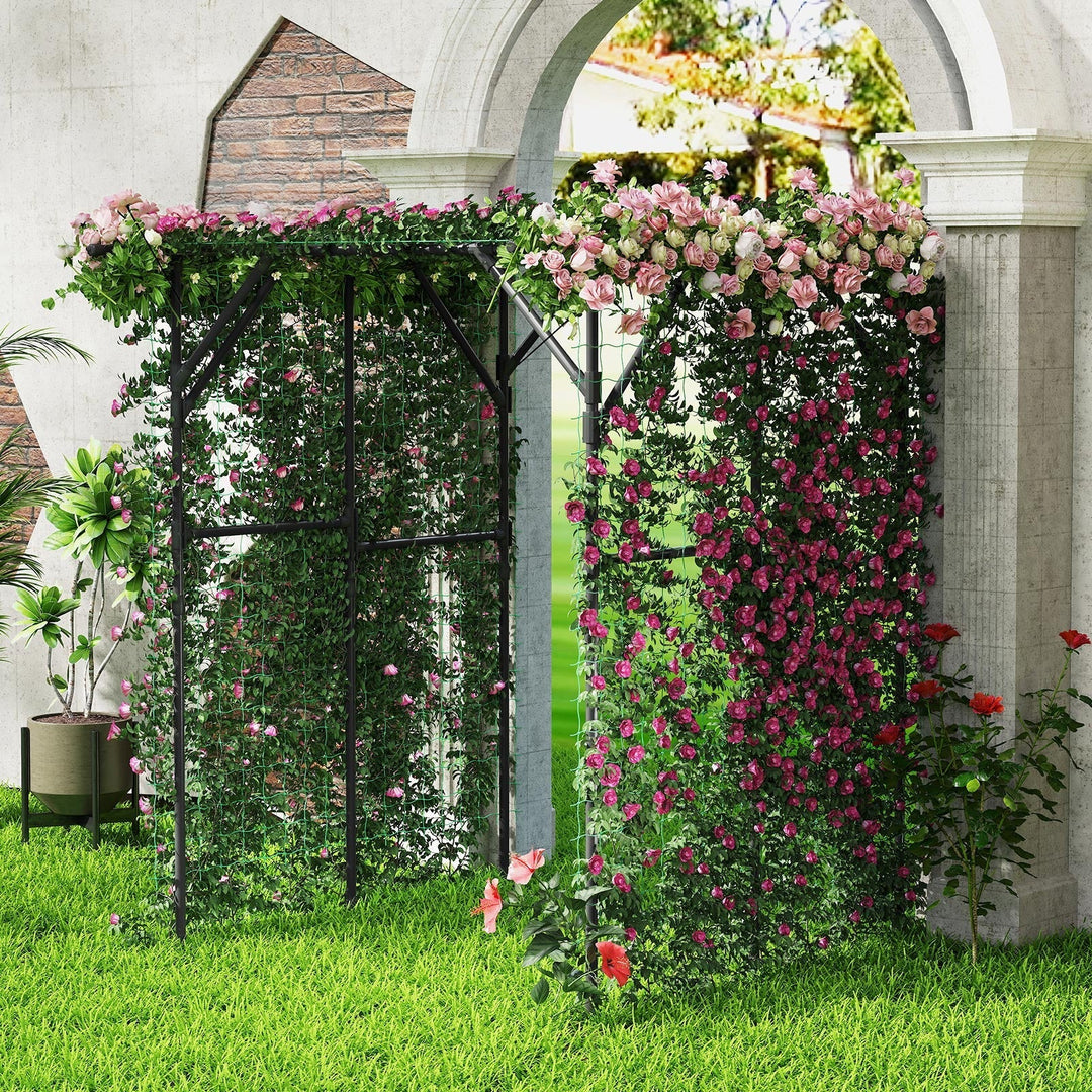Large Garden Arch Trellis for Climbing Plants Outdoor Grape Vine Support-Black