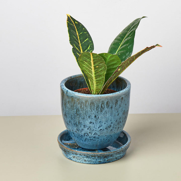 Liberty Bell Planter