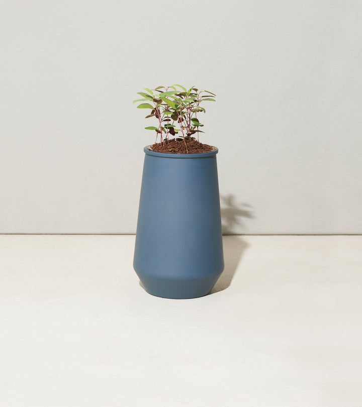 Tapered Tumbler Grow Kits