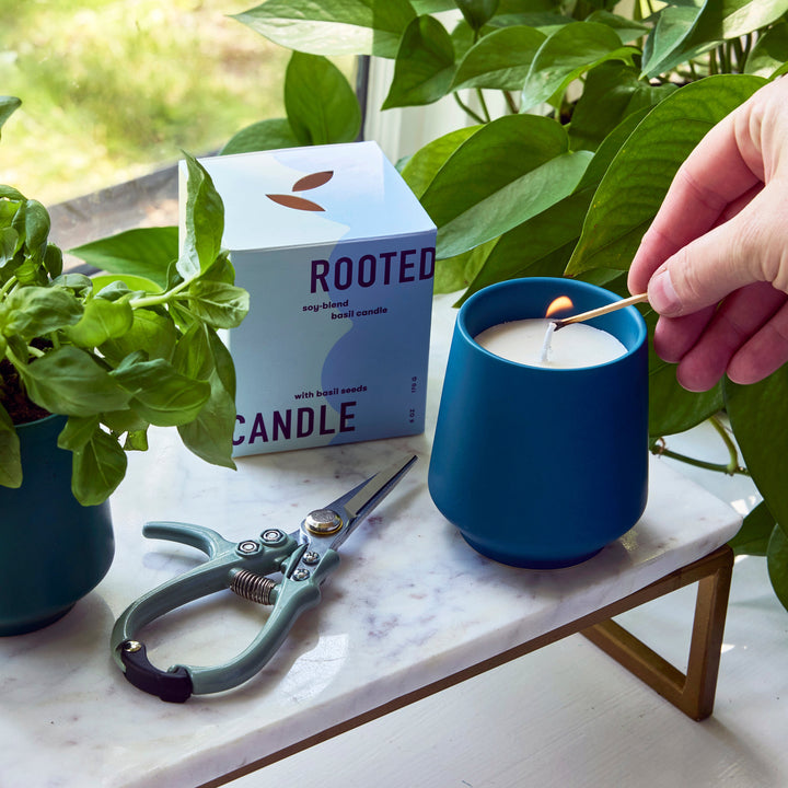 Rooted Candles