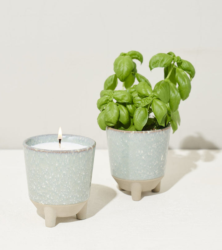 Glow &amp; Grow Kits