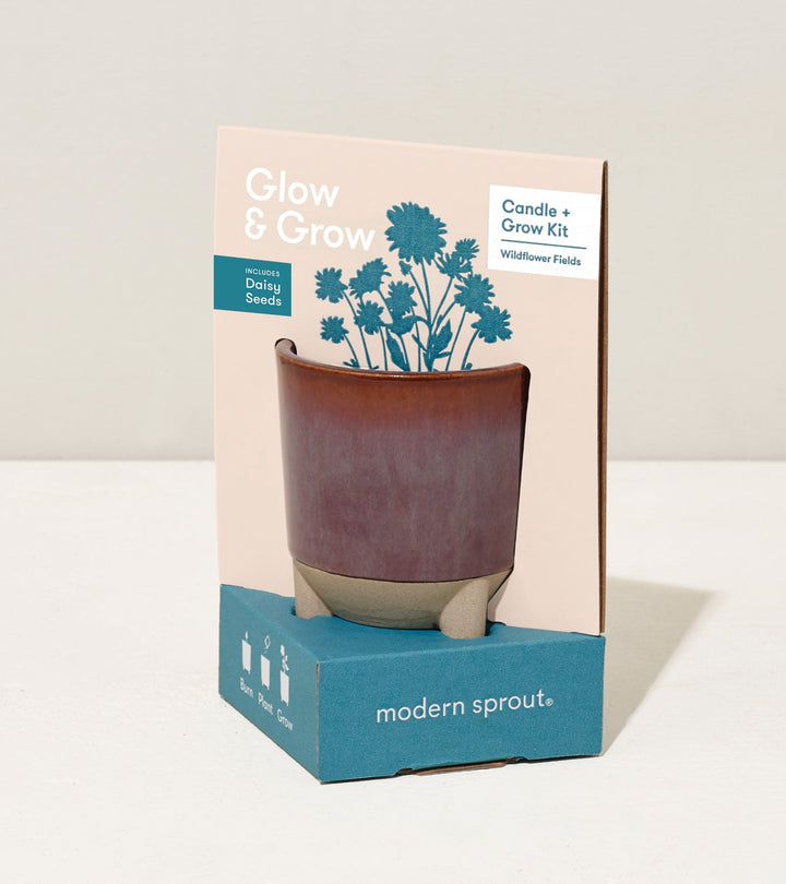 Glow &amp; Grow Kits