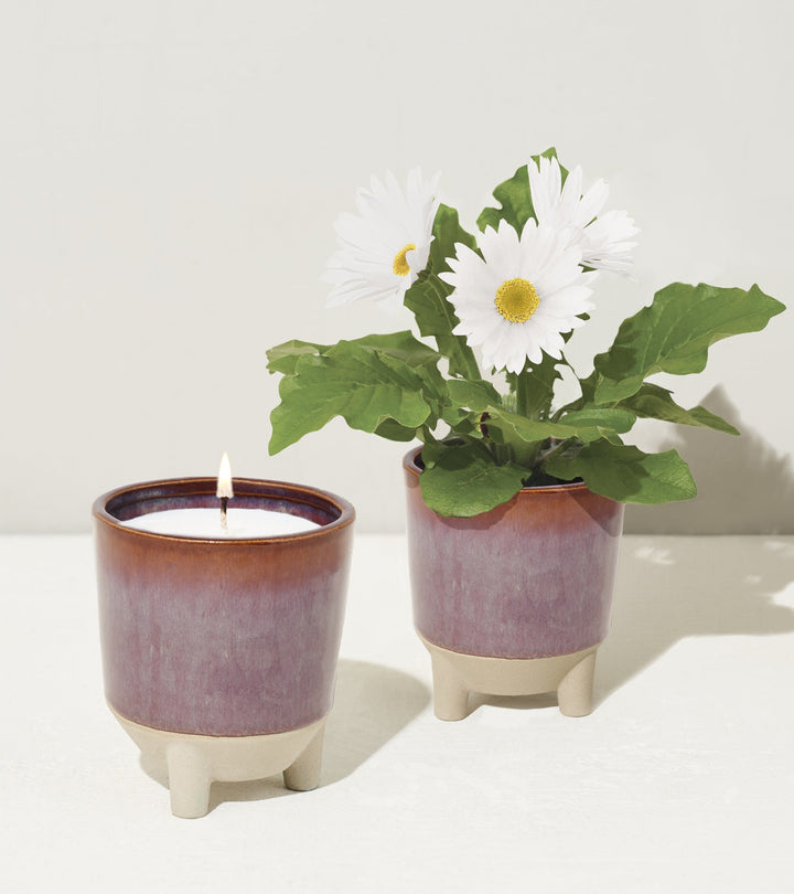 Glow &amp; Grow Kits