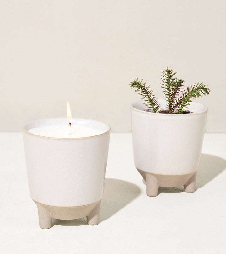 Glow &amp; Grow Kits