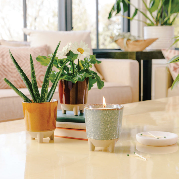 Glow &amp; Grow Kits