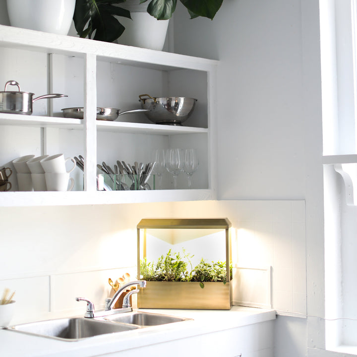 Smart Growhouse