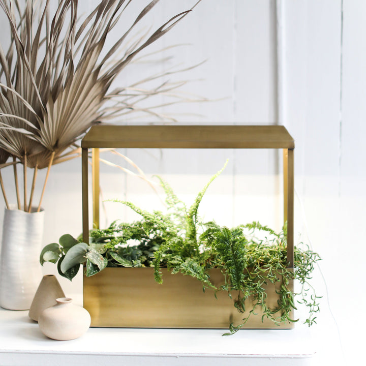 Smart Growhouse