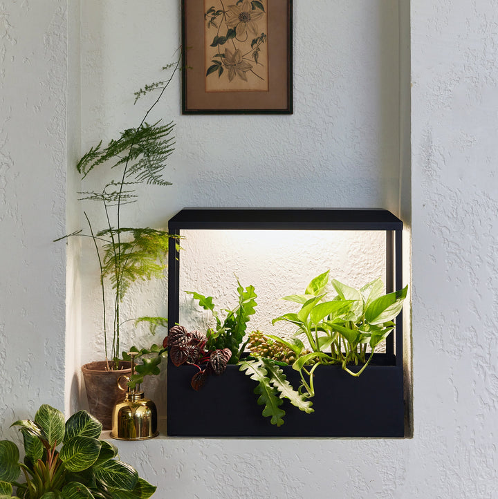 Smart Growhouse