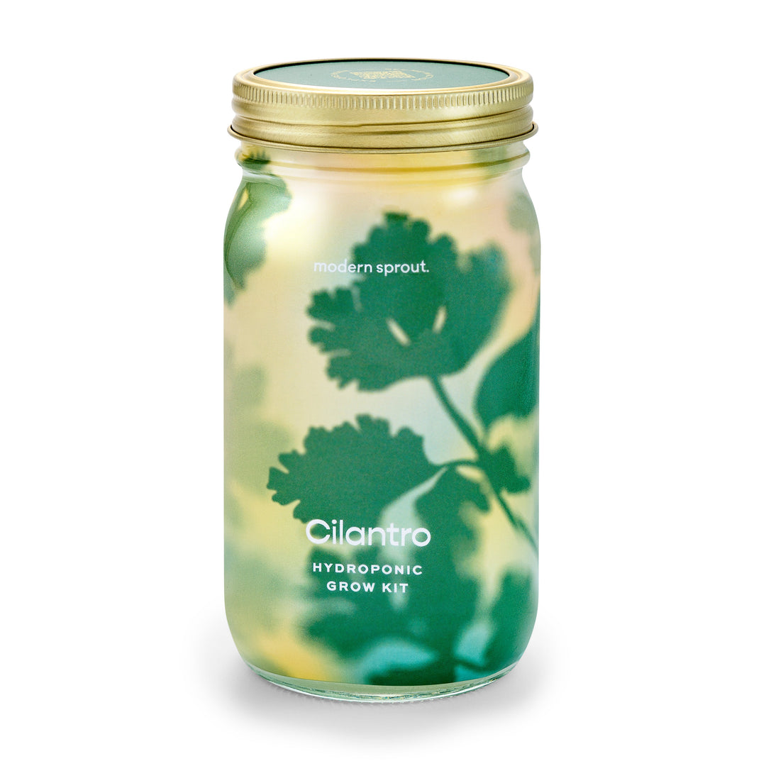 Garden Jars - Organic Herbs