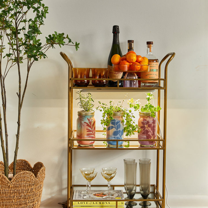 Smart Growbar