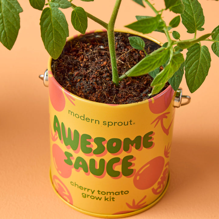 Complimentary Colors Grow Kits