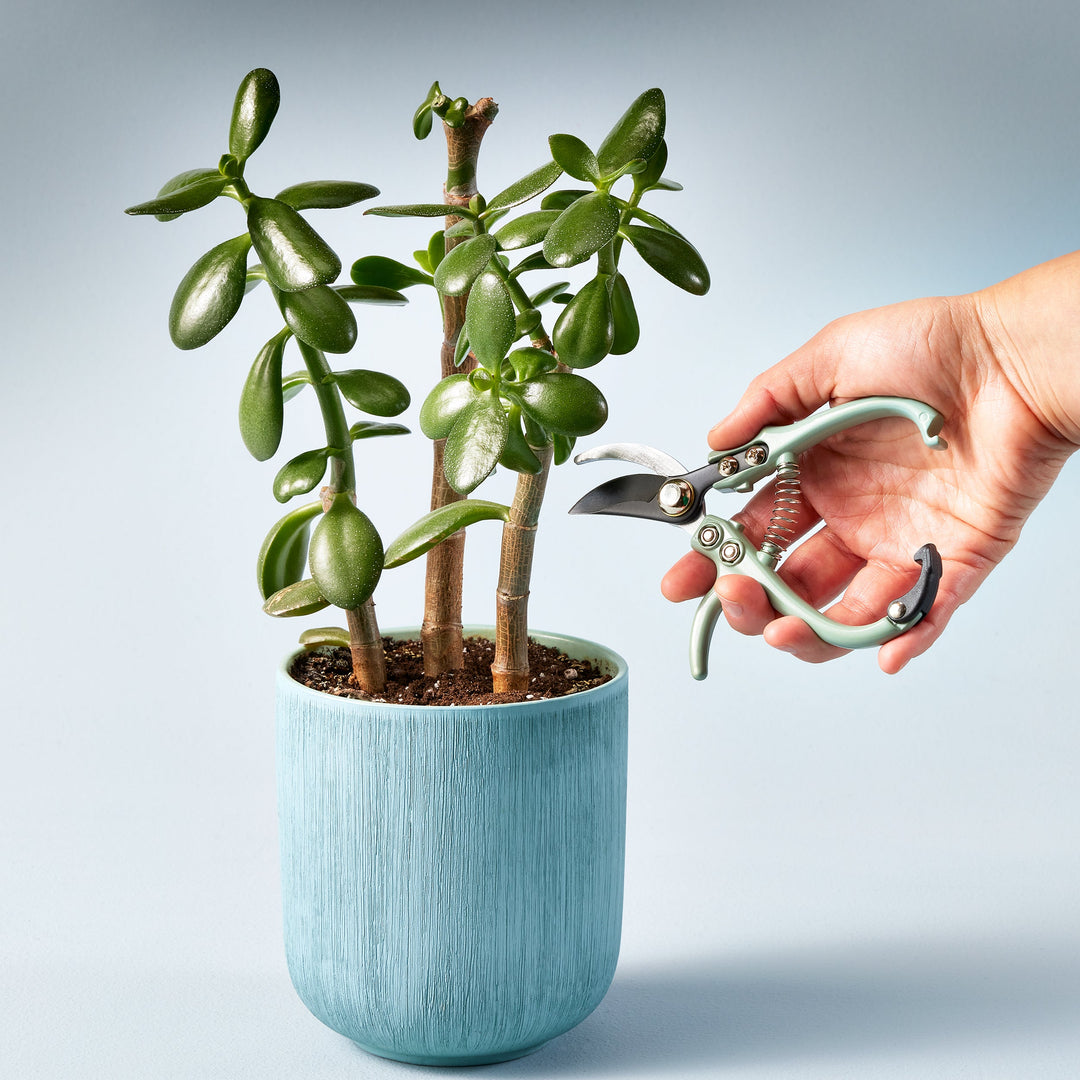 Gardening Shears &amp; Pruners