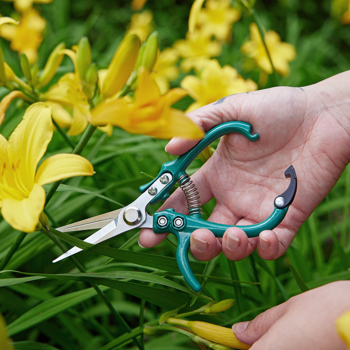 Gardening Shears &amp; Pruners