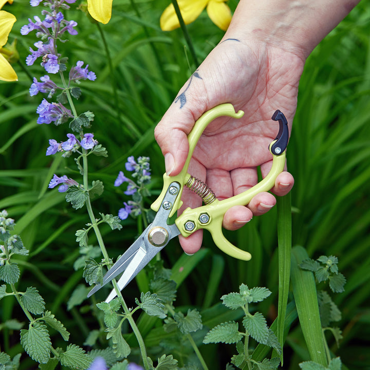 Gardening Shears &amp; Pruners