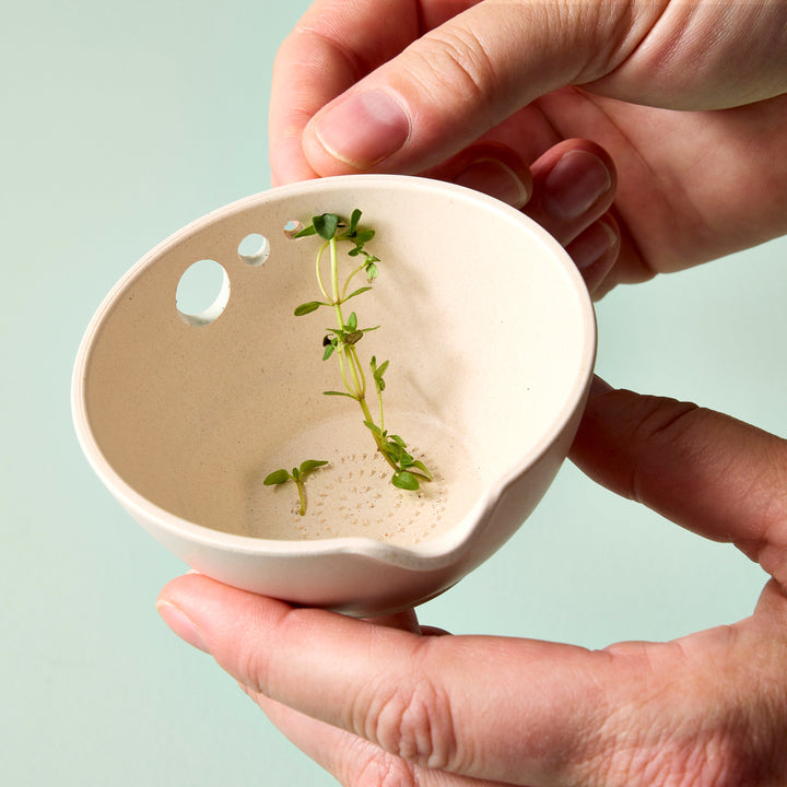 Peel, Grate &amp; Prep Dish