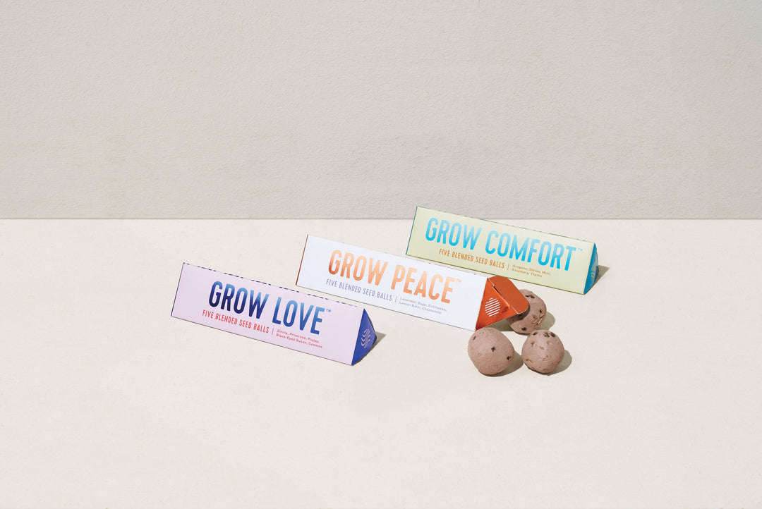 Bright Side Seed Balls