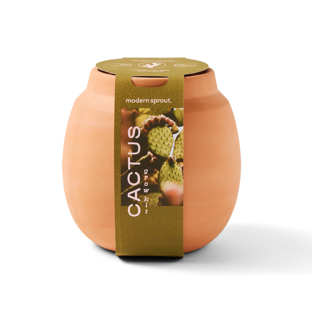 Modern Terracotta Grow Kits