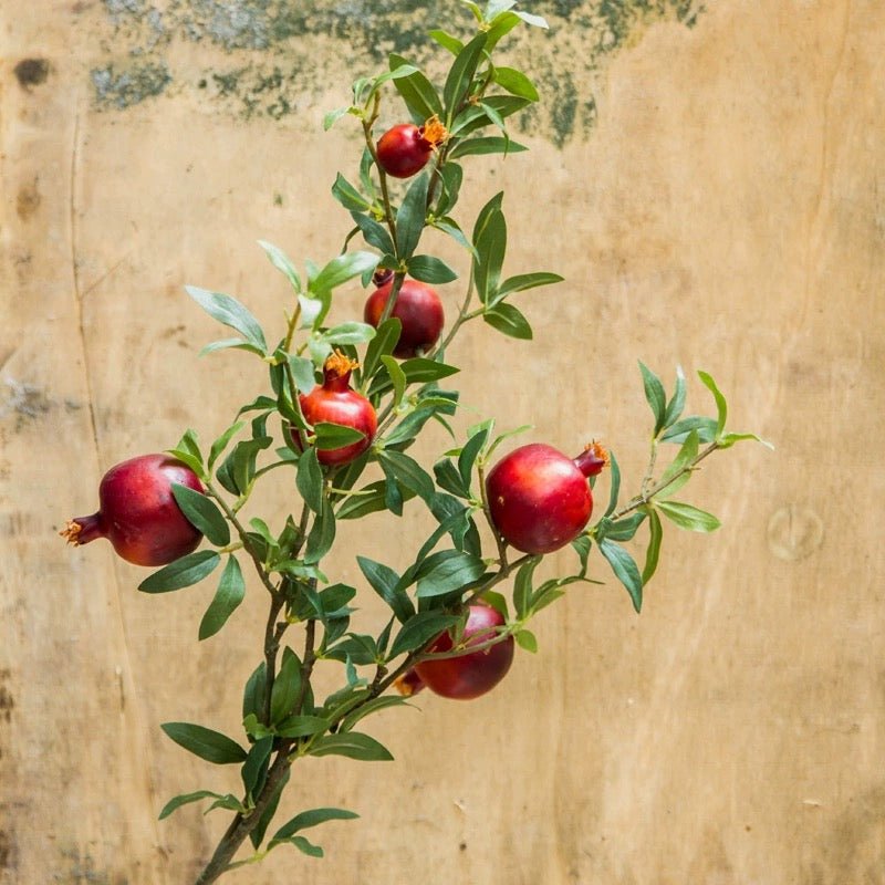 Big Fruit Faux Pomegranate Stem 32" Tall
