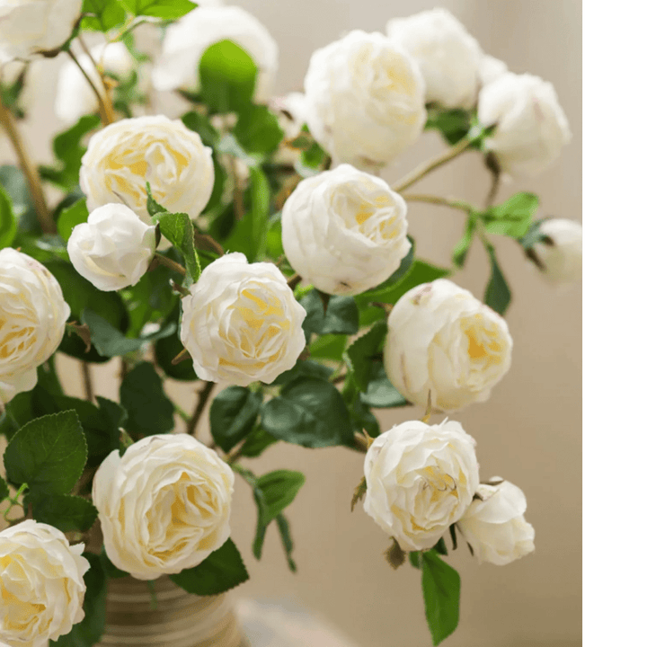 White Cabbage Rose Stem 20.8" Tall