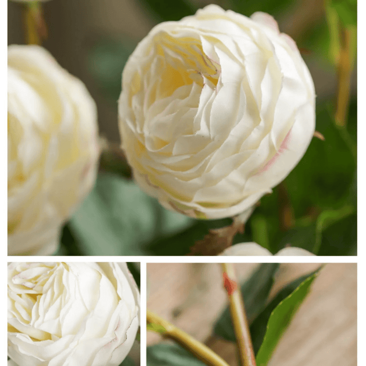 White Cabbage Rose Stem 20.8" Tall