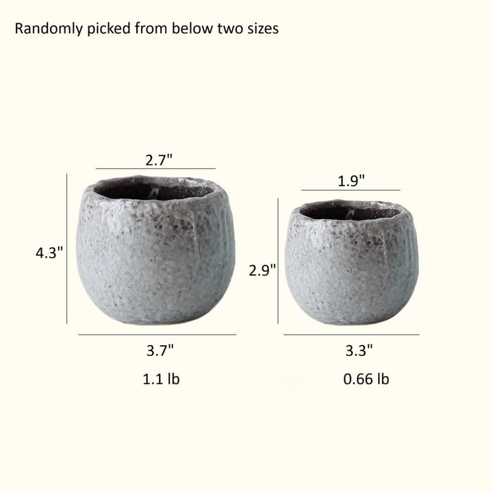 Crackle Glazed Succulent Pot Randomly Picked Set of 5