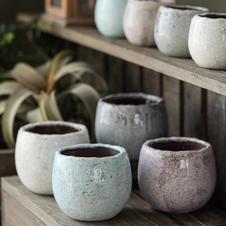 Crackle Glazed Succulent Pot Randomly Picked Set of 5