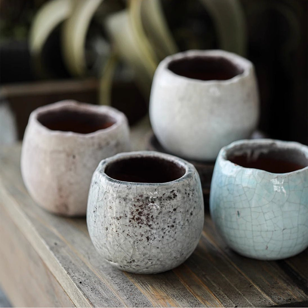 Crackle Glazed Succulent Pot Randomly Picked Set of 5