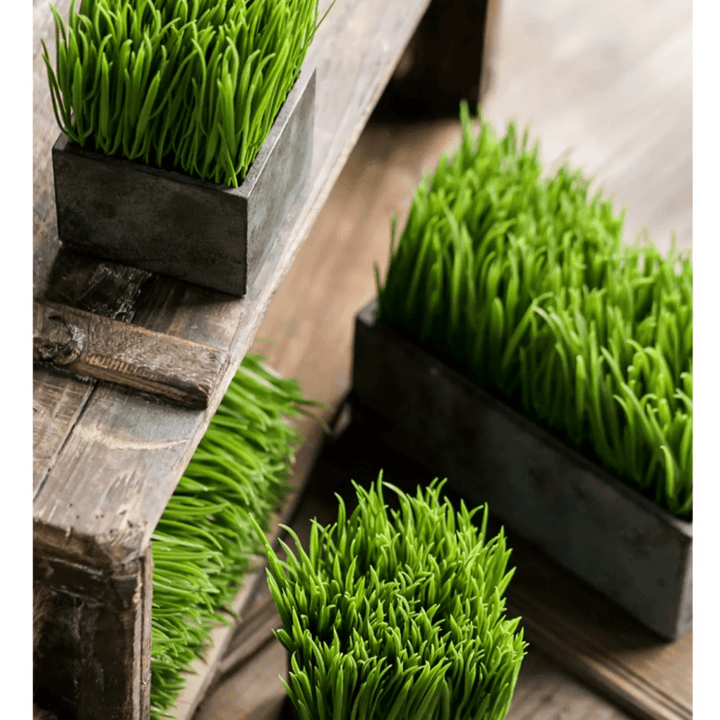 Faux Grass in Black Pot
