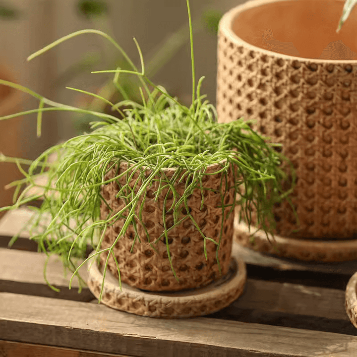 Faux Woven Grid Cement Pot