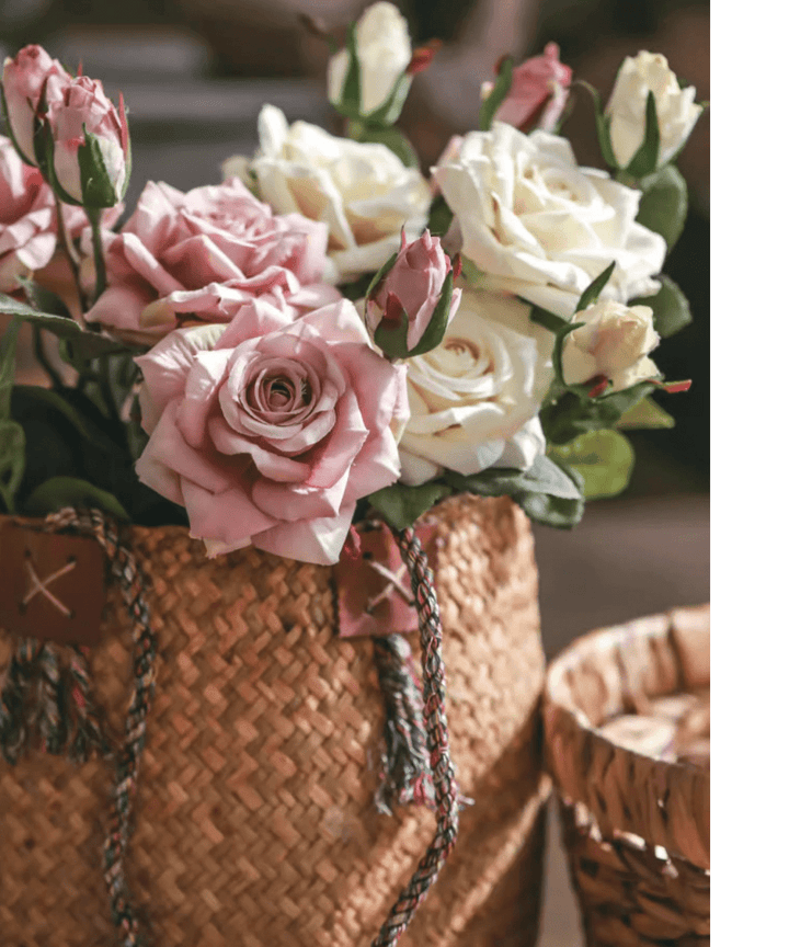 Rolled Edge American Rose Stem 18" Tall