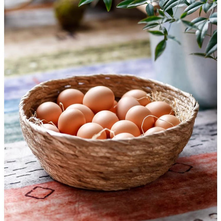 Seagrass Bowl Basket for Storage or Display