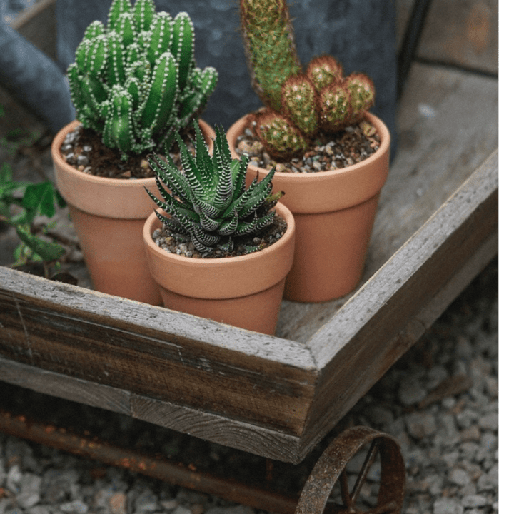 Small Decorative Wooden Wagon Flower Cart