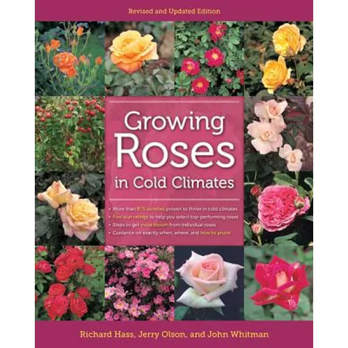 Growing Roses in Cold Climates