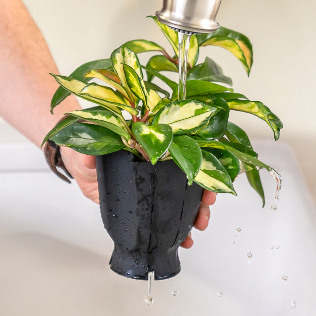 Ceramic Plant Pot with Rubber Liner - Forest Green