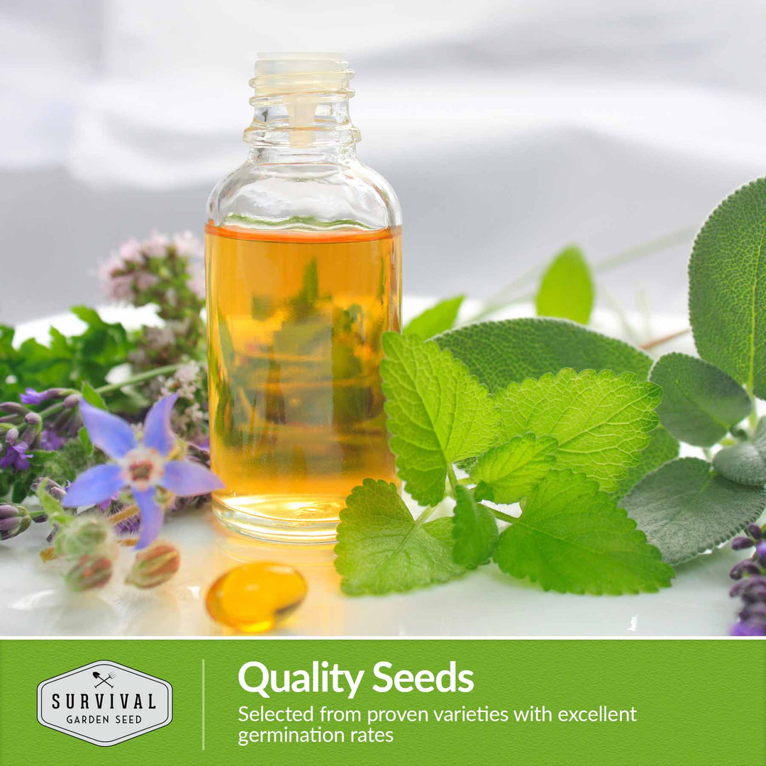 Medicinal Herb Garden Seed Collection – 18 Heirloom Non-GMO Varieties
