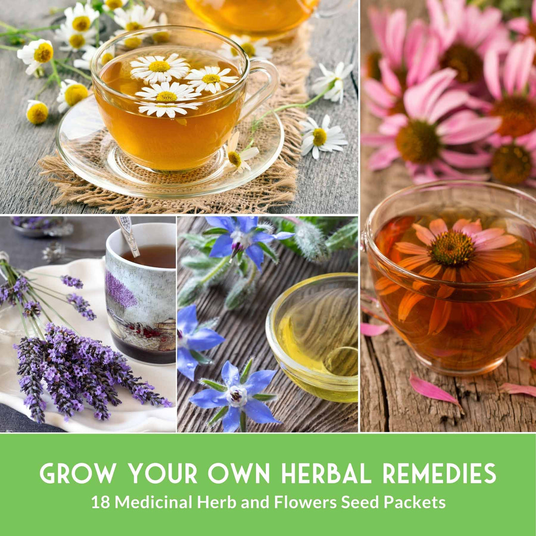 Medicinal Herb Garden Seed Collection – 18 Heirloom Non-GMO Varieties