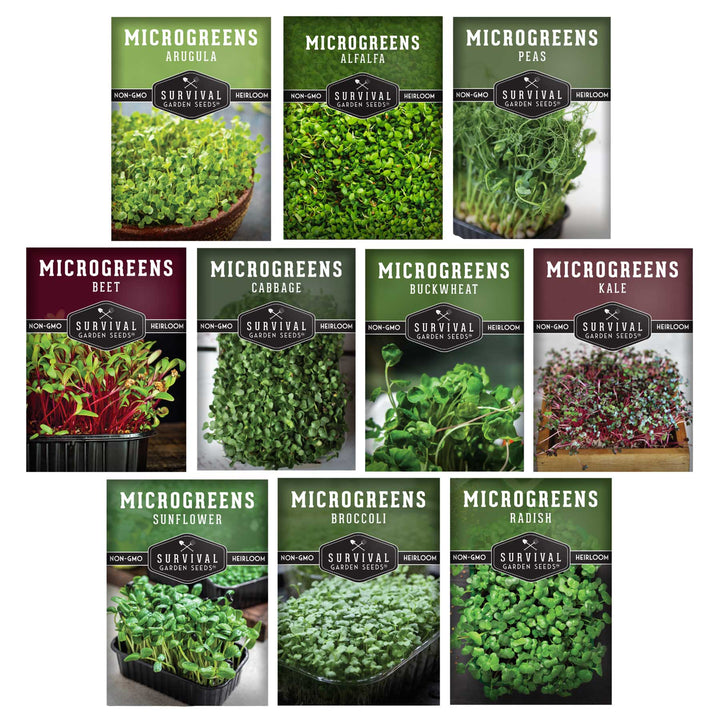 10-Variety Heirloom Microgreen Seed Pack – Non-GMO Seeds for Indoor Growing, Sprouting &amp; Year-Round Nutrition