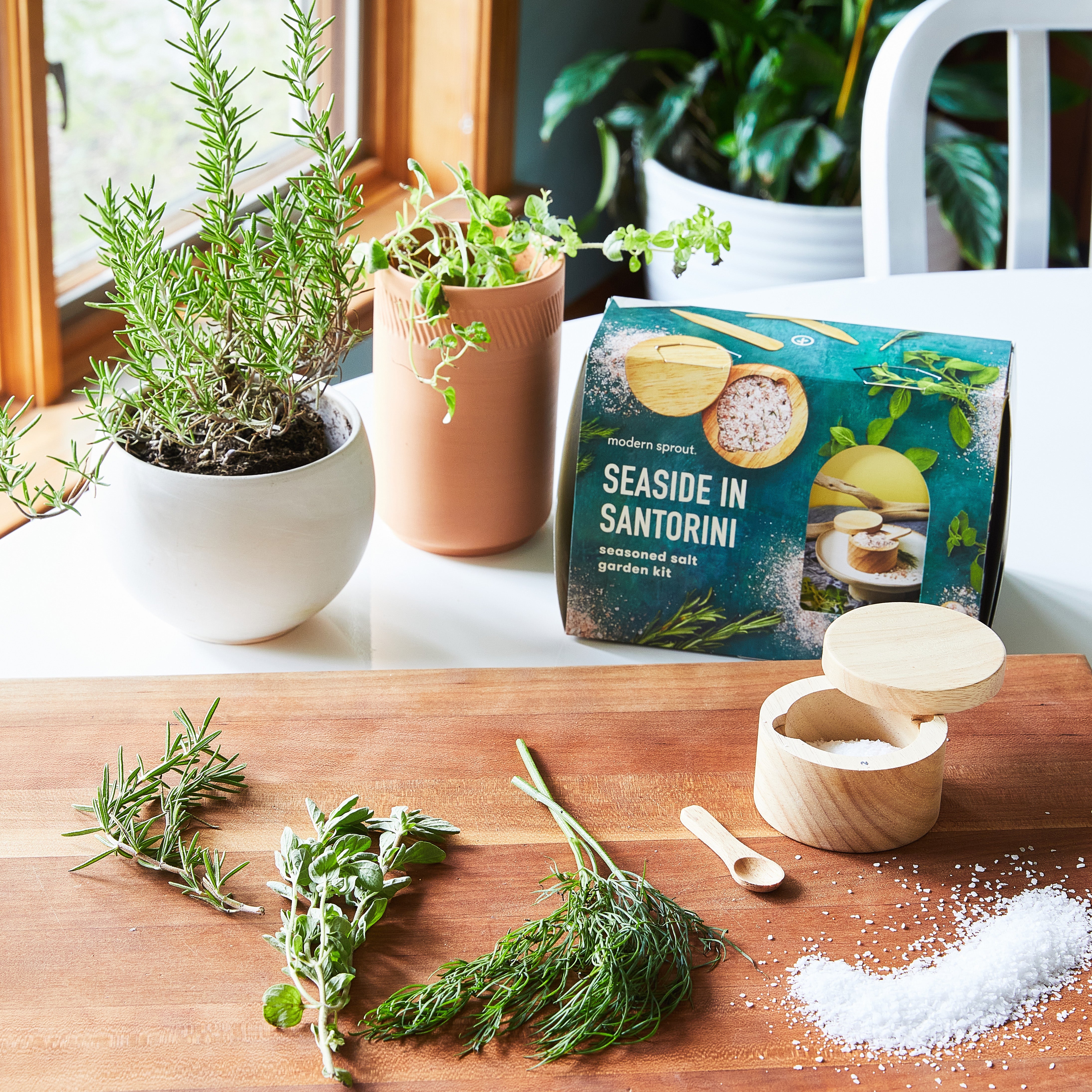 Seed Collection + Accessories