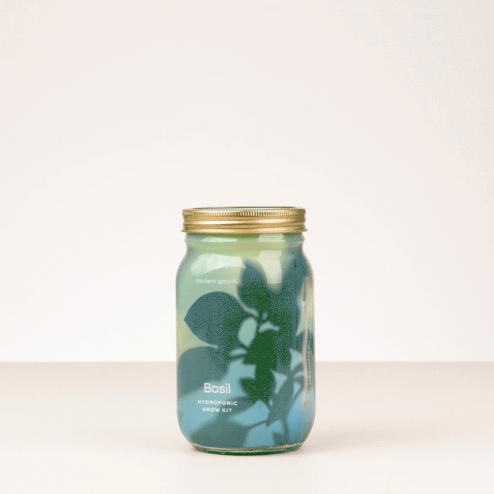 Garden Jars - Organic Herbs