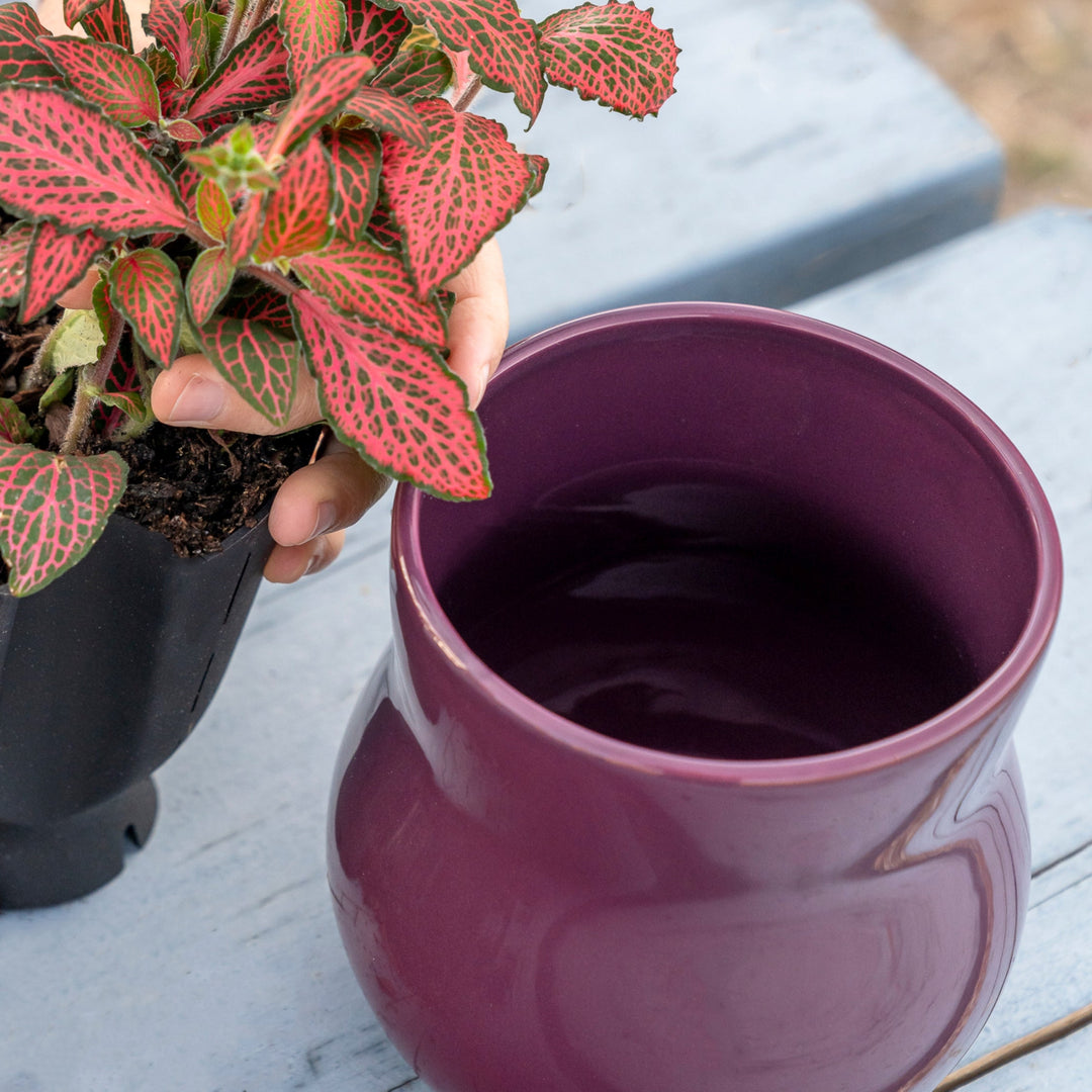 Ceramic Plant Pot with Rubber Liner - Violet Purple