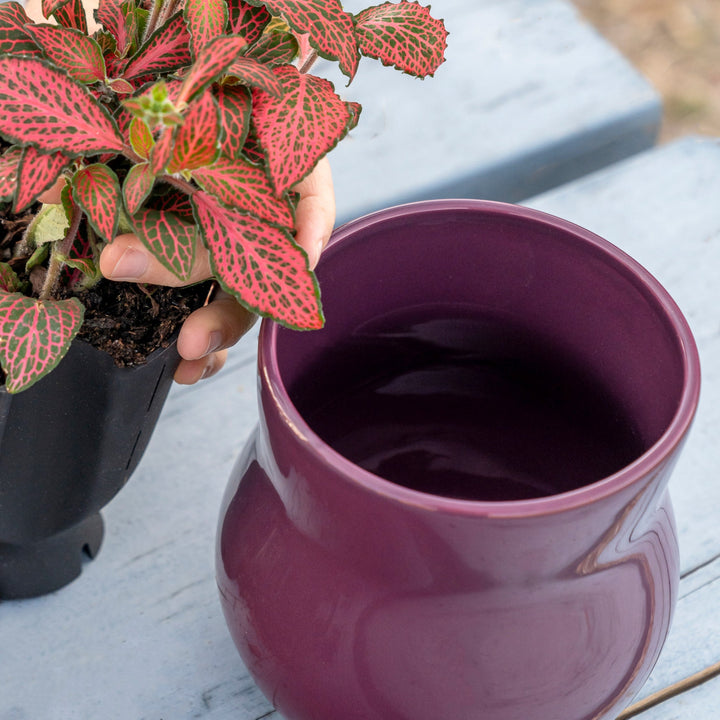 Ceramic Plant Pot with Rubber Liner - Violet Purple