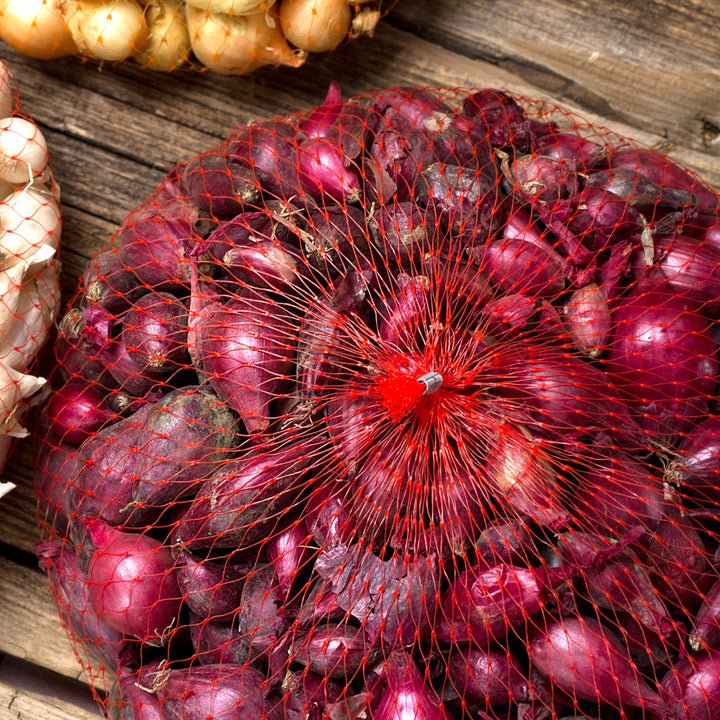 Mixed White Red Onion Sets 8 oz Bulbs Non-GMO