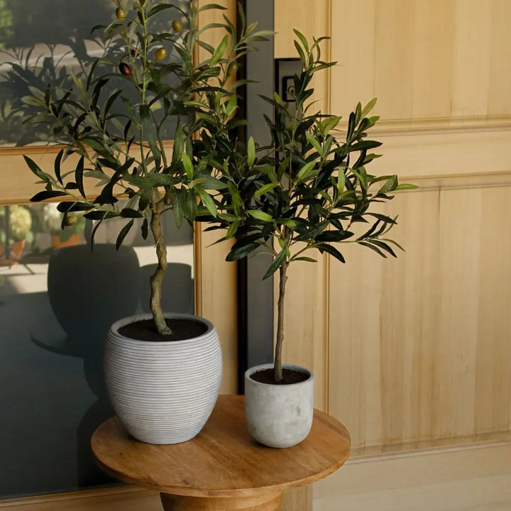 Artificial Olive Topiary Tree with Mediterranean Pot