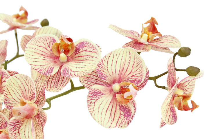 Artificial 4-Stem Phalaenopsis Orange Orchid
