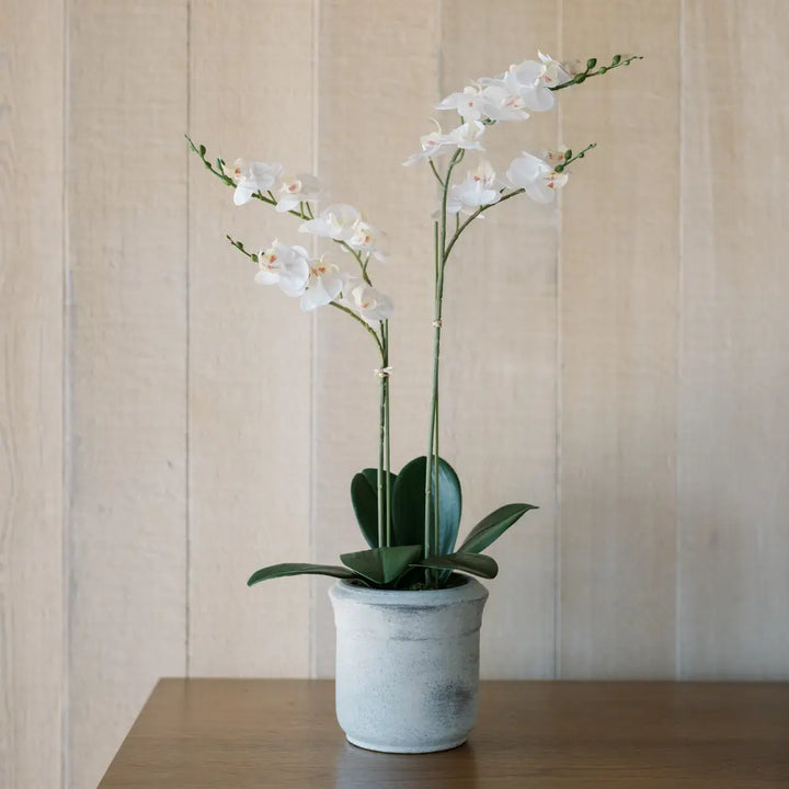 Artificial 2-Stem Phalaenopsis White Orchid