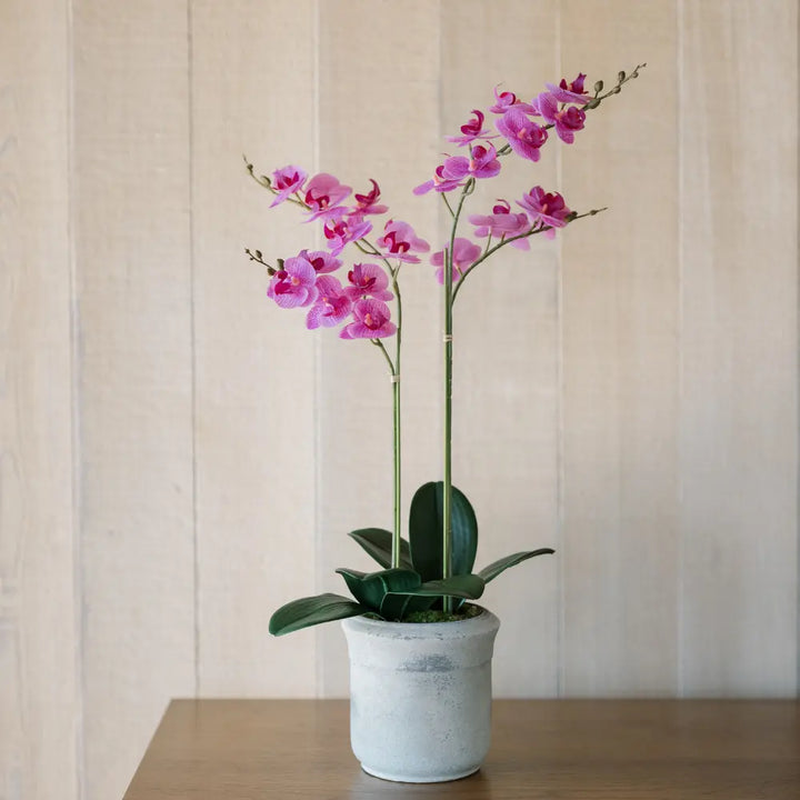 Artificial 2-Stem Phalaenopsis Pink Orchid